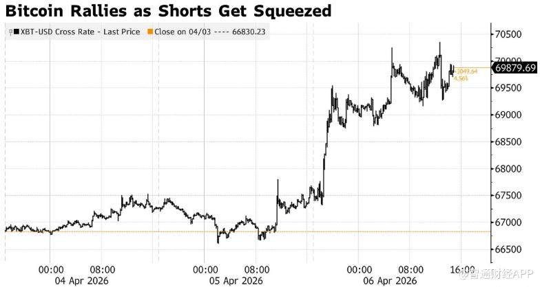 空头强平规模超1.45亿美元 比特币逼空反弹一度突破7万美元